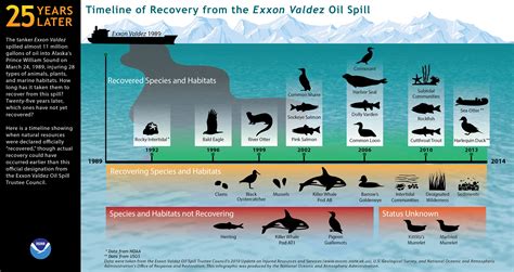 The Exxon Valdez 25 Years Later