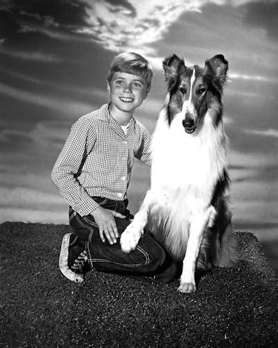 Lassie 1954 1973