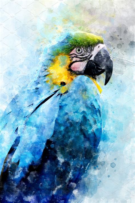 Parrot Watercolor Illustration Por Parrots Art Macaw Art