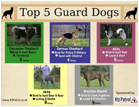Top 5 Guard Dogs Dog Infographic Mastiff Breeds Guard Dogs