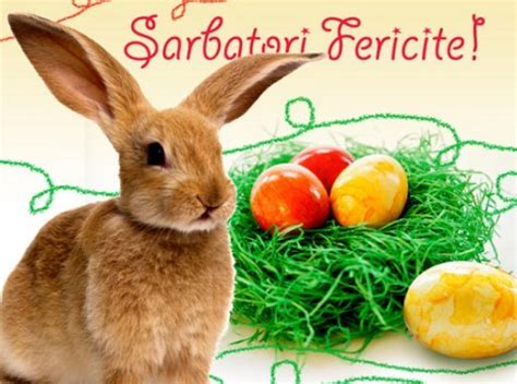 Pațtele este o promisiune pe care dumnezeu o reînnoişte în fiecare primăvara. Felicitări și urări de iepuraș - Felicitări de Paști 2014 - Urări de iepuraș - Hot Wendy