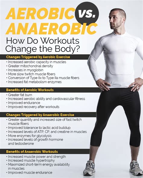 Aerobic Vs Anaerobic How Do Workouts Change The Body