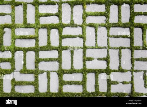 Grass Pavement Texture