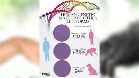 Explainer Genetic Similarity Between Humans And Other Life Forms