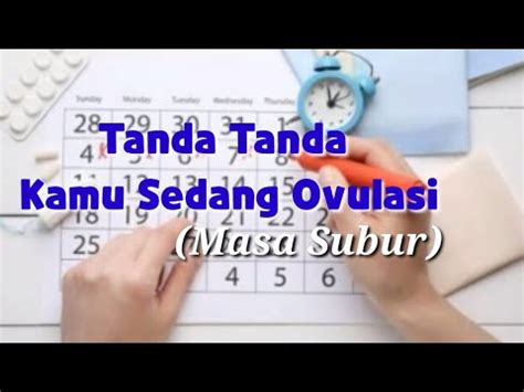 Pada saat masa ovulasi atau masa subur, ketika anda berhubungan dengan pasangan anda maka prosentase terjadi pembuahan sel telur akan. 7 Tanda Masa Subur (Ovulasi) - YouTube