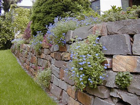 Natursteinmauer gartenmauer selber bauen steine verfugen. Natursteinmauer - Gartenbau und Landschaftsbau aus ...