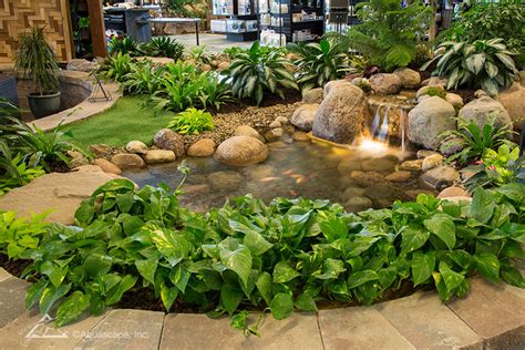 These plants grow in shallow water or saturated soil around the perimeter of ponds or along the banks of streams. Water Gardening Store and Inspiration Center | Pond Construction, Pond Maintenance, Water ...