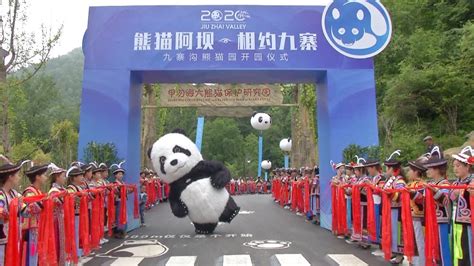 Jiuzhaigou Panda Park Opens To The Public In Sw China Youtube