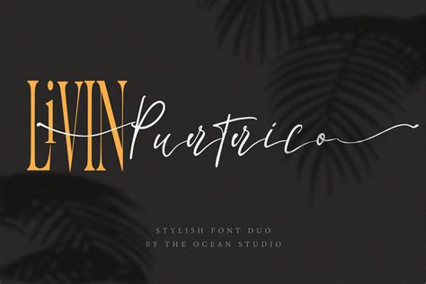 Licensed for personal and commercial use. La lune Script Font | The Ocean Studio | FontSpace
