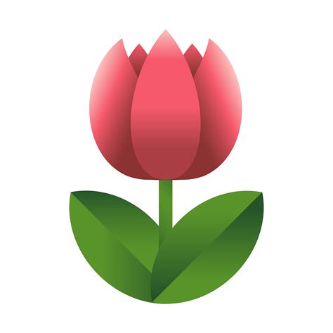 Tulip Flower Vector Icon 552099 Vector Art At Vecteezy