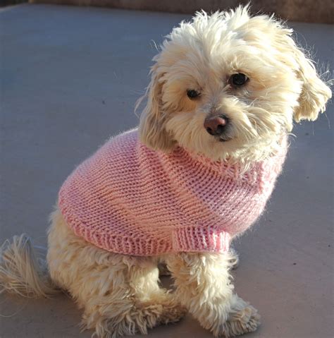 11 Easy Knitted Dog Sweater Patterns For All Sizes Artofit