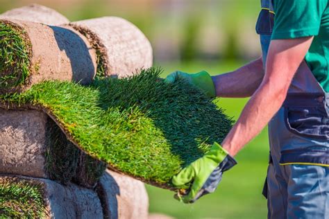 Questions To Ask Before Hiring A Landscaper