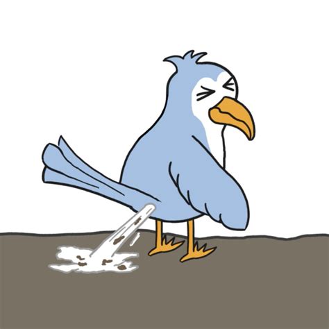 Poop Clipart Bird Poop Poop Bird Poop Transparent Free For Download On