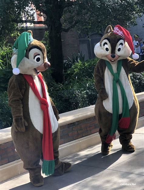 Photos Christmas Decor Adds A Flurry Of Fun To Disneys Hollywood