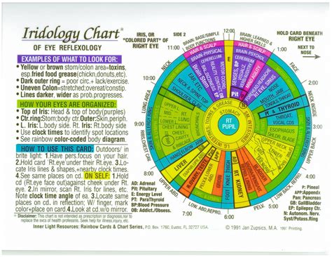 Iridology Chart Rainbow Laminated 85 X11