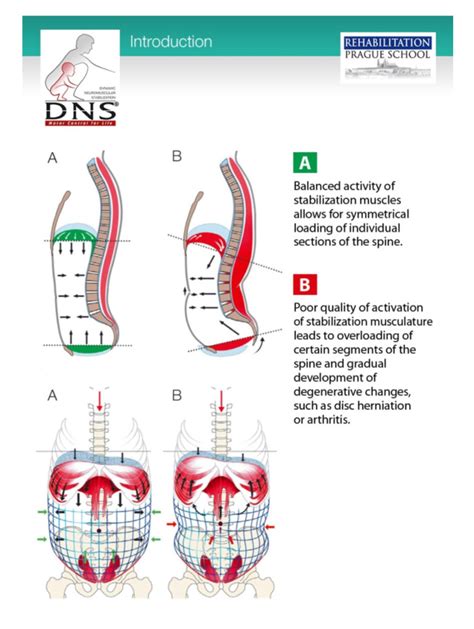 Balloon Breathing For Core Stability Flexibilityrx™ Performance