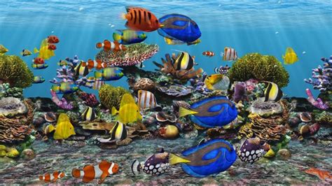50 Free Fish Tank Wallpaper Screensavers On Wallpapersafari