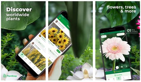 I was really rooting for planta, i feel the app offers a lot of additional information value by offering reminders to take care of your plants. 9 Best Plant Identification Apps for Android and iOS 2020