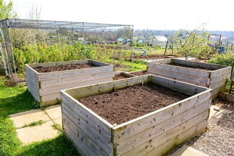 Gardeners Guide To Raised Bed Soil Kellogg Garden Organics