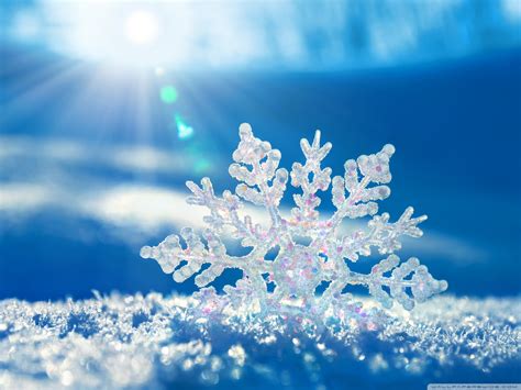 A Moment In A Snowflake Sharon Salzberg