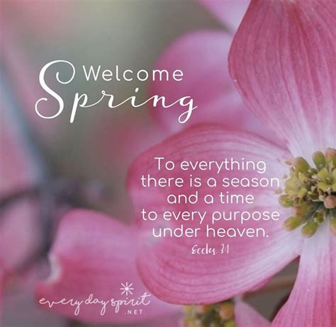 To everything there is a season. in 2020 | Spring scripture, Spring ...