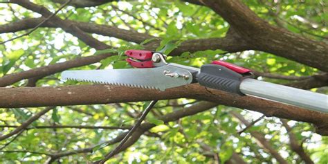 Best Tree Pruner In 2020 Ultimate Reviews And Expert Guide