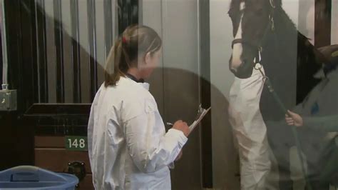 Imported Equine Inspection And Quarantine Procedures Youtube