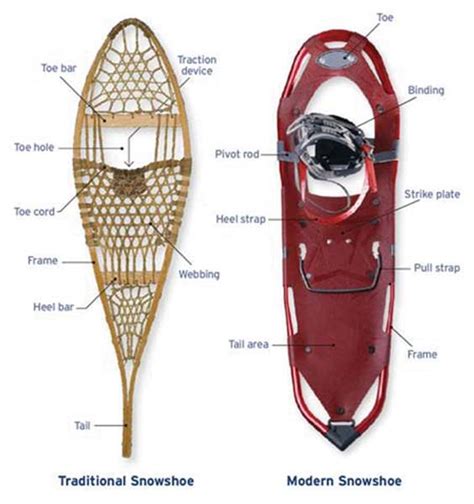 Snowshoes A Traditional Companion For Wintertime Travel In The Outdoors