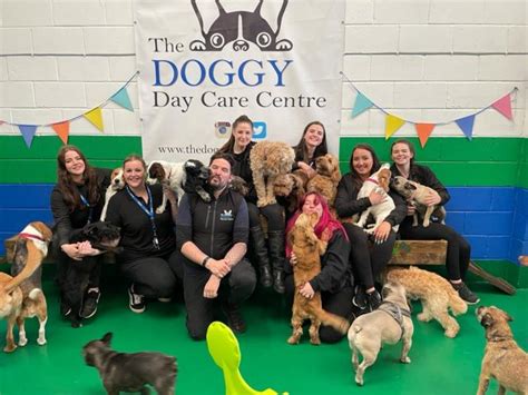 Meet The Team The Doggy Day Care Centre