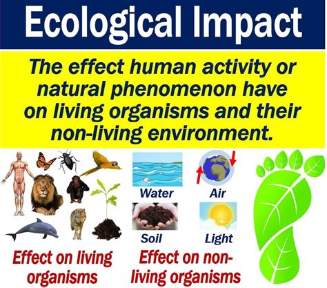 What Is Ecological Impact Definition And Examples Market Business News