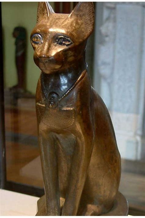 Para Os Egípcios Gatos A Trazem