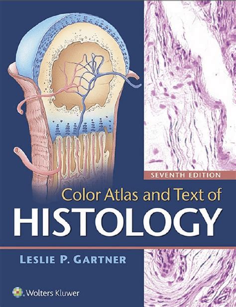 Color Atlas And Text Of Histology 7th Edition Leslie P Gartner
