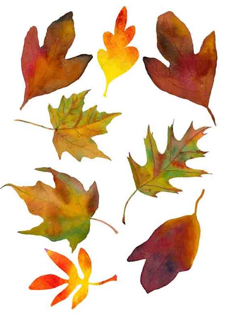 Free Fall Leaves Printables