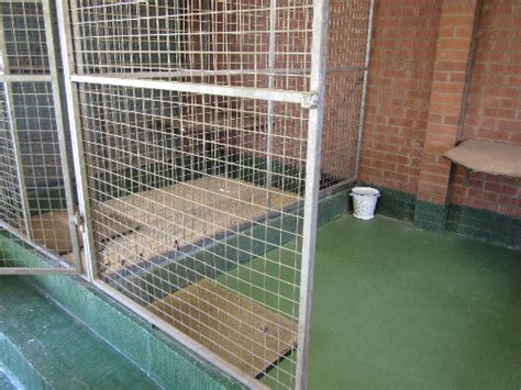 Dog Kennel Floors Resin Flooring North East Ltd