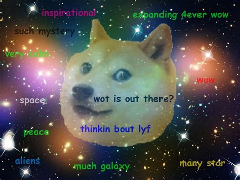 Pin by Elaine Morgan on Too Much Fantastic! | Doge meme ...