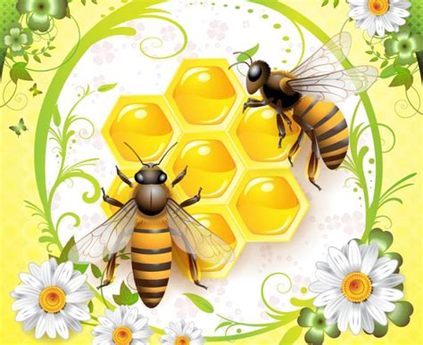 Kaeda vector mania: Honey bee illustrations vector