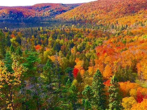 Fall Colors At Lutsen Photograph By Linda Olcott Fine Art America