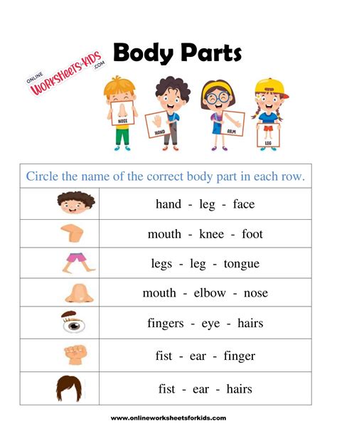 Printable Body Parts Worksheet For Kindergarten