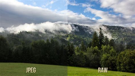 What's the difference, and when is each format appropriate to use? This is the difference between a RAW and JPEG file format ...