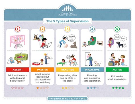 5 Types Of Supervision By Ock9ed Issuu