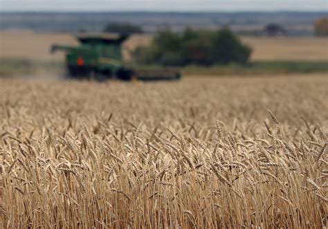 Early Australia Wheat Harvest Shows Lower Protein Raising Supply Woes