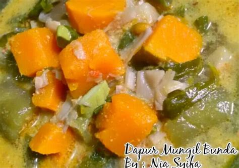 Sebagai penampang melintang helaian daun yang diperkecil. Resep Lodeh Waluh Campur oleh Nia Syifa - Cookpad