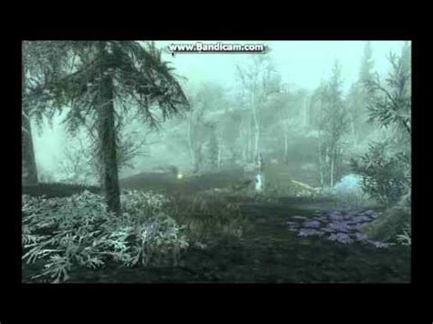 These quests only start once you approach or enter the associated dungeon. Skyrim: Dawnguard DLC - Guide - Shellbug Locations - YouTube