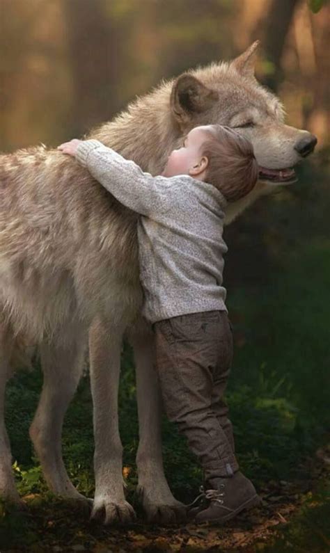The Boy And The Wolf Animals Beautiful Cute Animals Animals