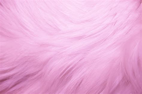 Rosa Bild High Resolution Pink Background Hd Wallpaper