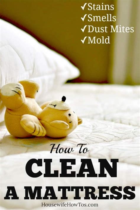 Learn how to deep clean your mattress and the best way to remove any stains, so you can sleep well at night. How To Clean A Mattress: Deodorize, Remove Stains, And Freshen