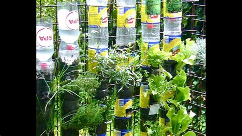 Tanaman sayuran sawi dapat tumbuh maksimal di dataran tinggi. Cara Gunakan Botol Plastik Untuk Menanam Sayur | TIPS ...