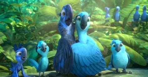 The Real Life Blue Parrot From ‘rio Is Now Officially Extinct In The Wild