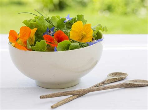 Edible Flowers Recipes Ideas And How To Grow Saga
