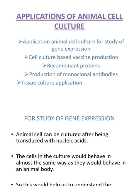 In the field of animal cell culture discovery leads to the opportunity of curing various diseases such as. Applications of Animal Cell Culture | Monoclonal Antibody ...